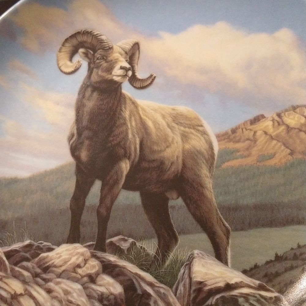 1989 "The Bighorn Sheep" by Paul Krapf - Picture 3 of 8